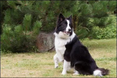 Quelqu'un t'insulte, comment réagis-tu ?