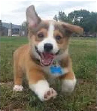 Tu dors et tu entends un bruit étrange qui te réveille. Quelle est ta réaction ?