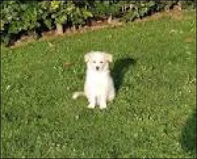 Quel genre de livres préfères-tu ?