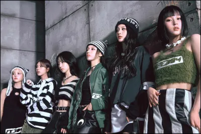 Si tu étais K-pop idole, tu serais : (1)