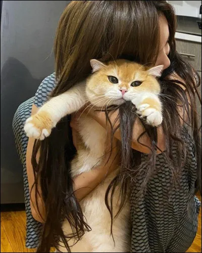 Veux-tu qu'elle ait son chat avec elle ?