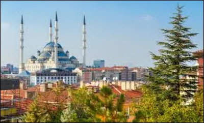 La capitale de la Turquie est la ville d'Ankara.
