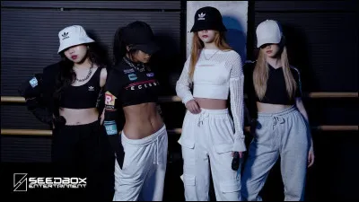 Choisis entre les quatre propositions.