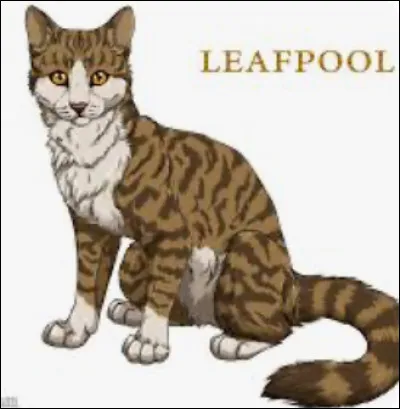 Avec qui Feuille de Lune a-t-elle eu des chatons ?