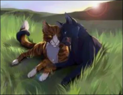 Combien en a-t-elle eus ?