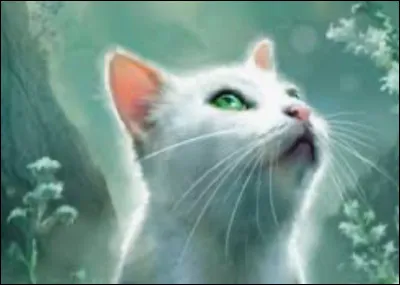 Et enfin, de qui Demi-Lune est-elle amoureuse ?