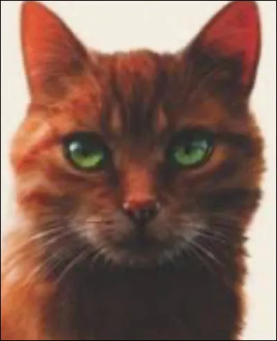 Qui a été son mentor ?