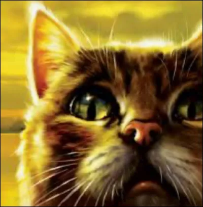 Qui est la meilleure amie de Feuille de Lune ?