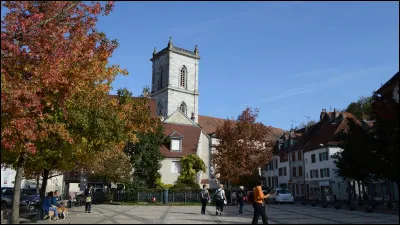 Quelle est cette ville de 5 000 habitants, située entre Montbéliard et Besançon sur les rives du Doubs ?