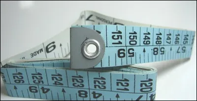 Tyrone dit à son invité français avoir couru 250 pieds en 10 secondes. Le jeune Français effectue un calcul rapide et trouve que cela correspond à 76,20 mètres parcourus en 10 secondes. 
Quelle fonction permet de convertir une vitesse en pieds par seconde (ft/s) en km/h ?
Quelle est la vitesse de Tyrone en km/h ?
(On utilisera ici le signe * pour représenter l'opérateur de multiplication.)