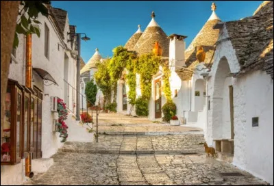 Alberobello est un petit village près de Bari. Sa particularité ce sont ces petites maisons blanches appelées "trulli". Dans quelle province italienne se situe ce village ?
