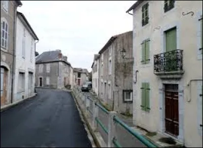 Saint-Laurent-de-Neste est un village Bigourdan. Il se situe dans l'ancienne région ...