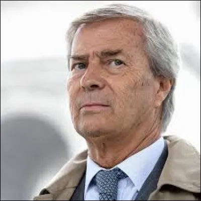 À combien s'élève environ la fortune de Vincent Bolloré en 2024 ?