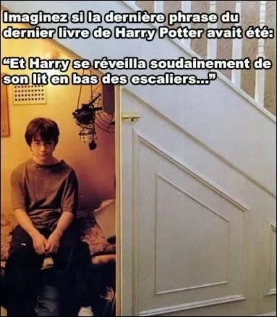 Il a failli mourir mais en réalité, ça vole, ça peut tuer quelqu'un, et a un cri grave.