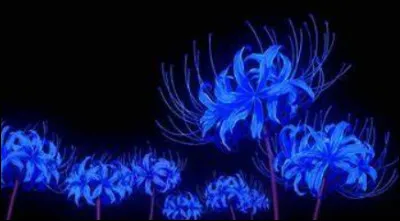 Quelle fleur Muzan cherche-t-il ?