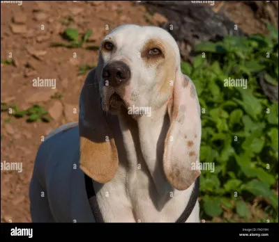 Lequel de ces livres de Patrick Cauvin est une publication posthume ?