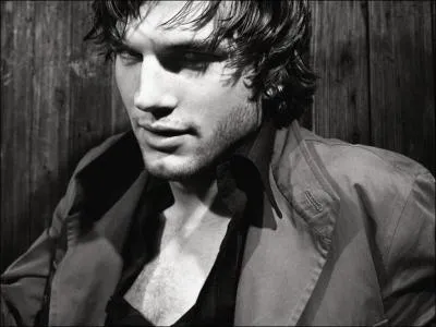 Ashton Kutcher n'est pas dans :
