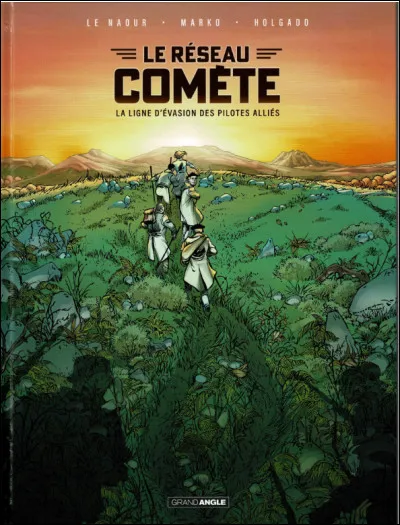 Quelle action de résistance consistait à cacher et protéger les personnes persécutées ?