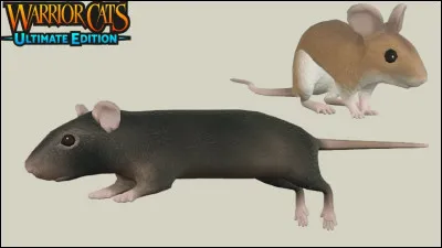 Peut-on manger ce quon chasse ?