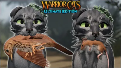 Peut-on entrer dans les maisons ?