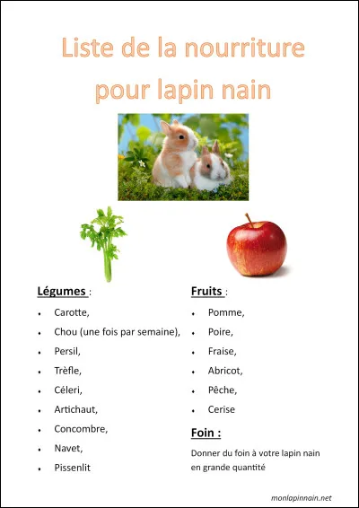 Un lapin mange du foin et c'est l'aliment de base de sa nourriture .