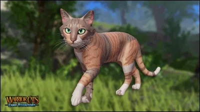 Est-ce que l'on peut y croiser des bipèdes ?