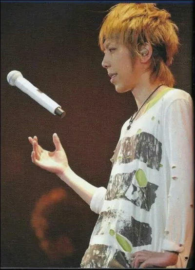 Le groupe dans lequel il chantait avant de former SID s'appelait :