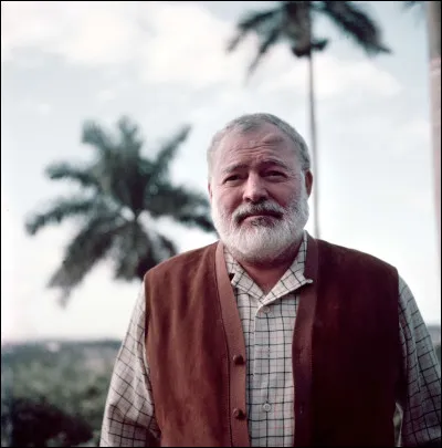 Le roman "Les Sept Piliers de la sagesse" a été écrit par Ernest Hemingway.