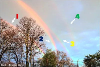 Il y a sept couleurs dans un arc-en-ciel.