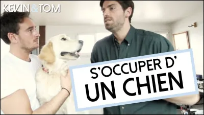 Prévois-tu d'avoir beaucoup de temps pour t'occuper de lui ?