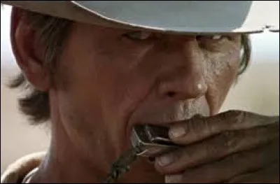 Charles Bronson prend le premier rôle dans « Il était une fois dans l'Ouest », le meilleur western de tous les temps. Dans ce film de Sergio Leone, il partage laffiche avec Henry Fonda, Claudia Cardinale et Jason Robards. Parmi ces assertions, laquelle est vraie ?