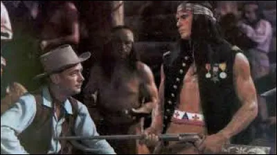 Dans « L'Aigle solitaire », Charles Bronson campe à nouveau le personnage dun chef indien qui terrorise létat de l'Oregon dans les années 1870. Qui est le réalisateur de ce western ?