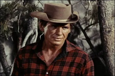 Ce western de Delmer Daves, sorti en 1956, dispose dune affiche très impressionnante avec Glenn Ford, Ernest Borgnine et Rod Steiger.