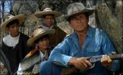 Que dire de cette merveille du western de John Sturges en 1960 dans lequel Charles Bronson côtoie Yul Brynner, Steve McQueen, James Coburn, Robert Vaughn et Eli Wallach ? Son nom peut-être ?
