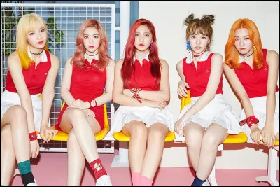 Si tu étais une idole de K-pop, tu serais : (1)