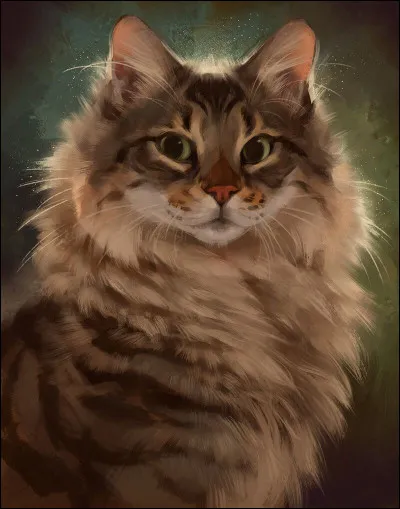 Quelle est la couleur du pelage de Cur Cendré ?