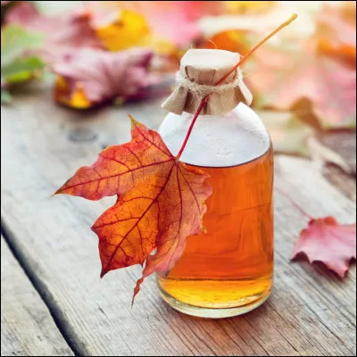 "Pour que tu m'aimes encore" est une chanson de Céline Dion sortie en 1995. Dans quel pays cette chanteuse est-elle née ?