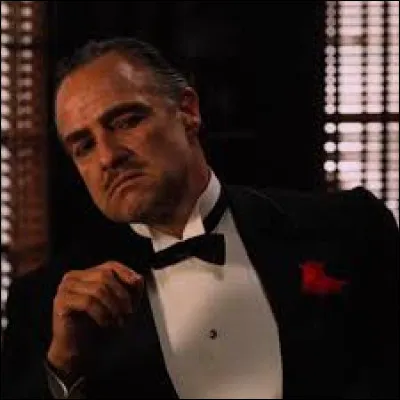 Vito Corleone est présent dans :