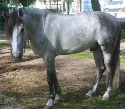 Quelle est cette robe (encore) ?