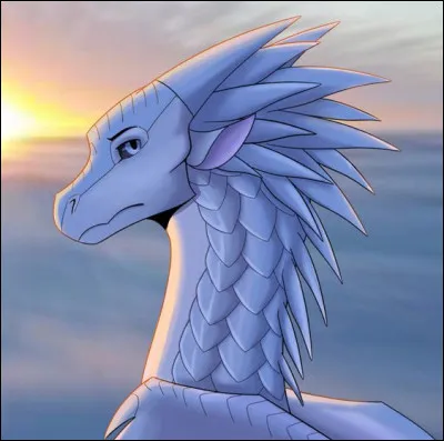 Comment s'appellent les dragonnets du destin ?