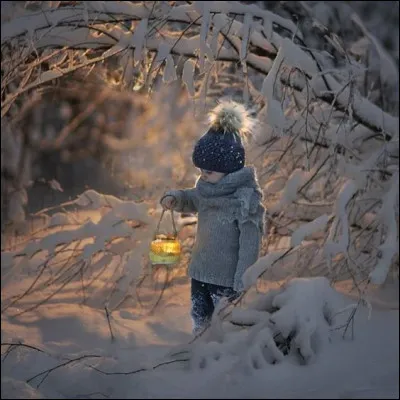Quel écrivain, ayant aussi publié "Le Chant du Grand Nord", "L'Or sous la neige", est l'auteur de "L'Enfant des neiges", porté à l'écran dans le film éponyme en 1995 ?