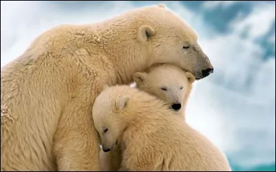 Pour une taille qui varie entre...