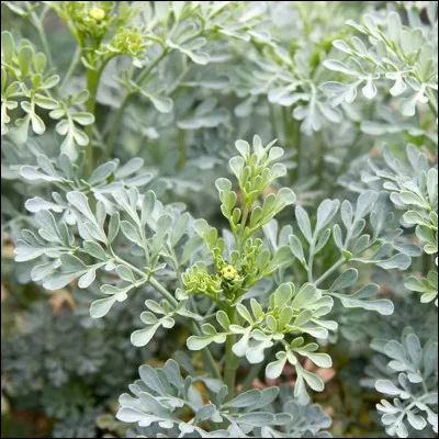 On peut s'y retrouver quand on ne s'y retrouve pas, c'est la...