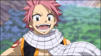 Il y a un personnage nommé Natsu :