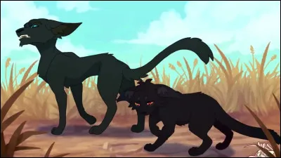 Qui est lapprenti grincheux qui faisait partie du groupe vers le soleil couchant ?