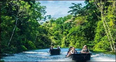 Quel est le nom de la plus grande forêt tropicale du monde ?