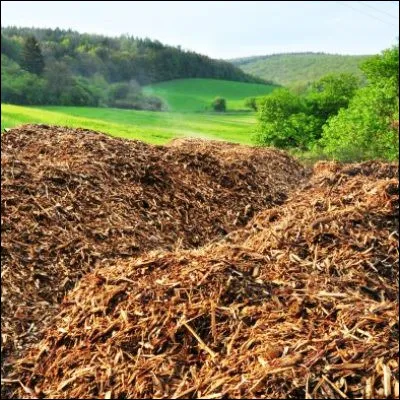 Quel animal représente la biomasse animale la plus importante dEurope ?