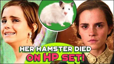 Encore sur Emma, un jour, son hamster est mort. Comment s'appelait- il ?
