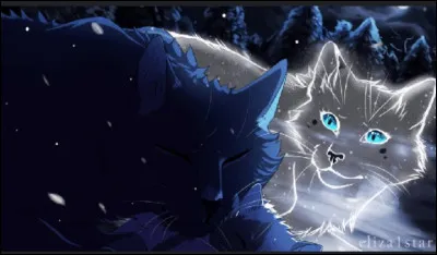 Combien de chatons Étoile Bleue a-t-elle eu ?