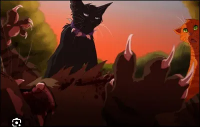 Qui sont les parents d'Étoile du Tigre ?